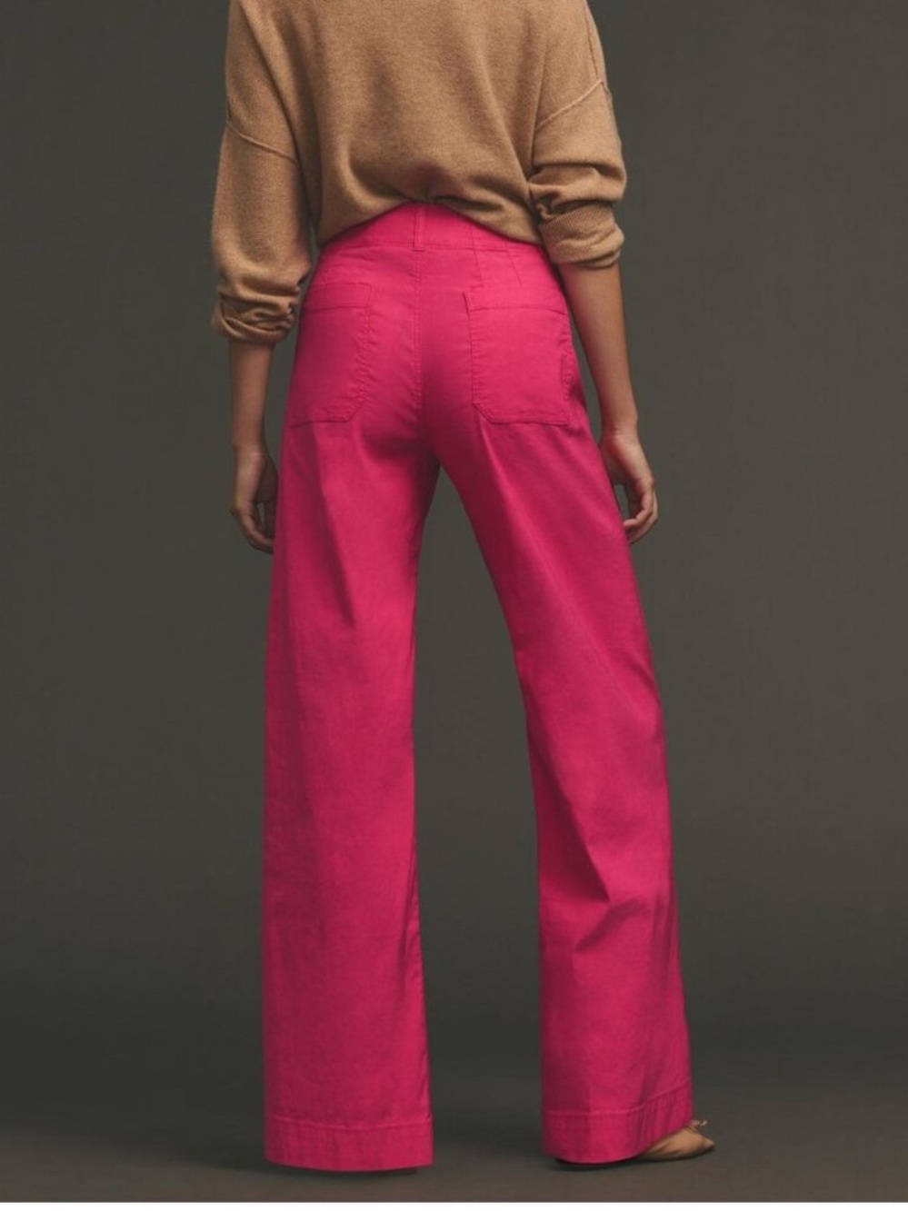 NWT Maeve Anthropologie Colette Full Length Wide Leg Pants Pink 27P Magic Fabric - Picture 2 of 9